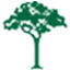 Logo Icon